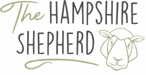 The Hampshire Shepherd